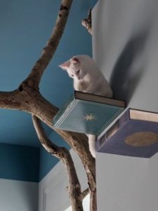 Cat Cafe Japan Book Perch