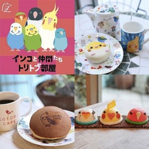 Kotori Small Bird Cafe Japan