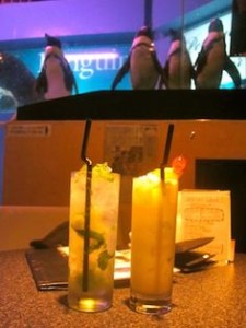 Penguin Bar Japan