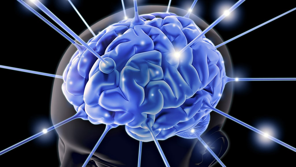 Growing Brain Learning Languages 1