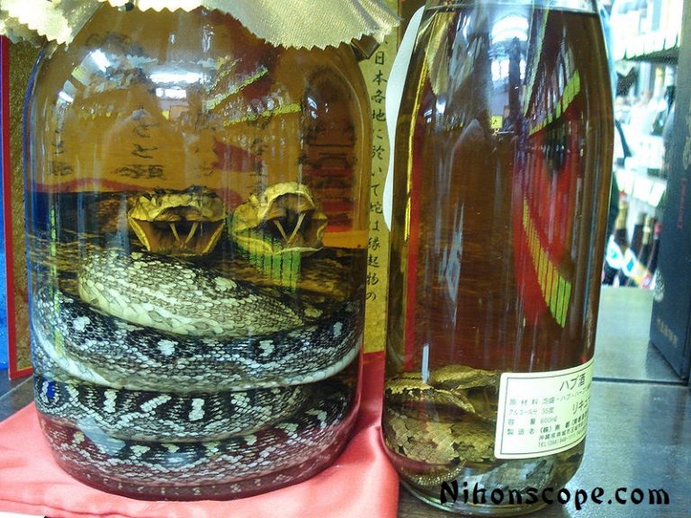 Habushu Why is Snake Sake for the Courageous?