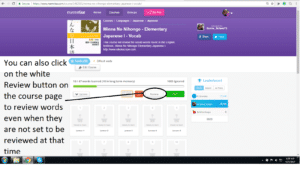 Reviewing Japanese Vocabulary