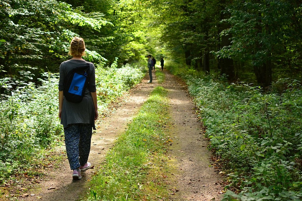 walking in nature forest bathing shinrin yoku