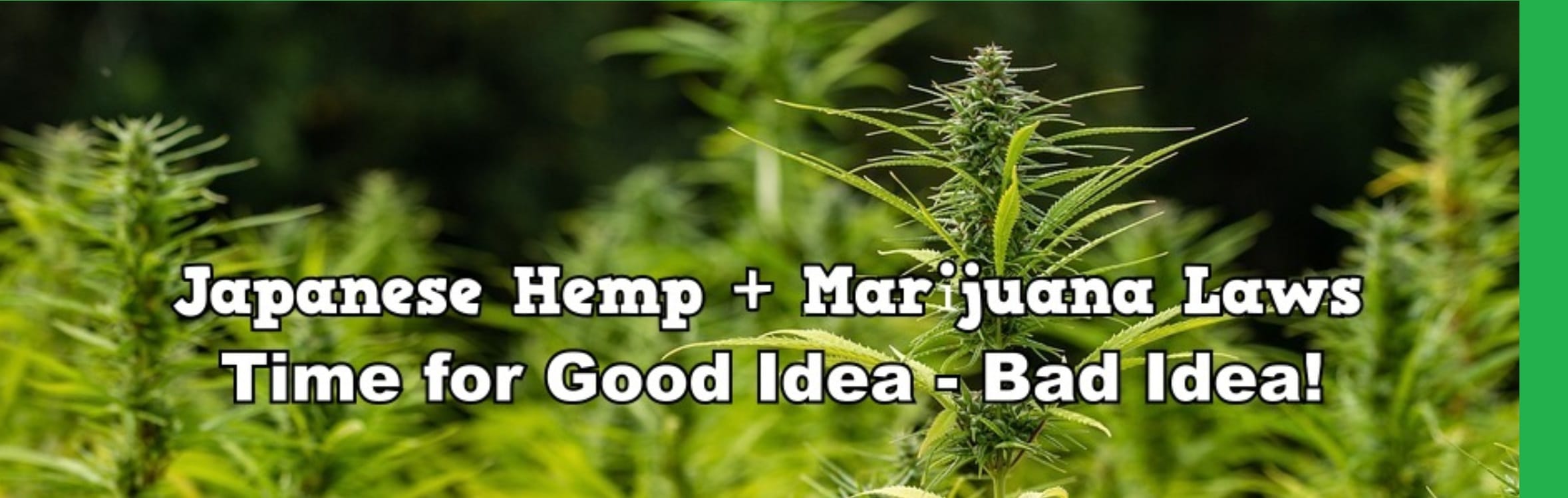 Hemp Marijuana Laws Japan