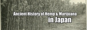 history of hemp in japan