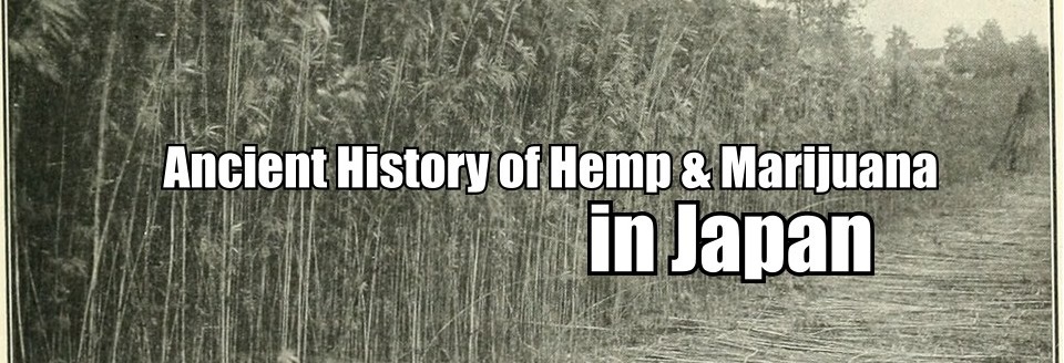 history of hemp in japan